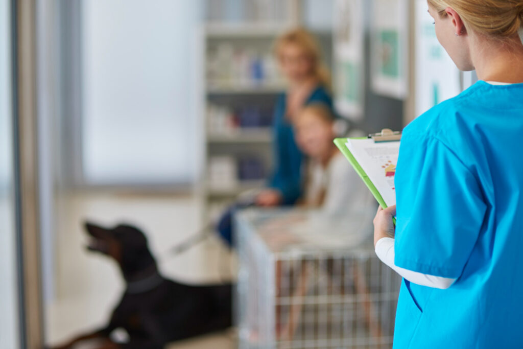 Abrir clínica veterinária em Curitiba passo a passo completo
