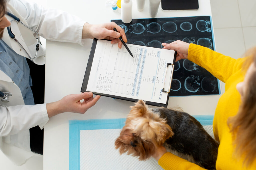 Impostos para hospitais veterinários: o que considerar antes de abrir sua clínica