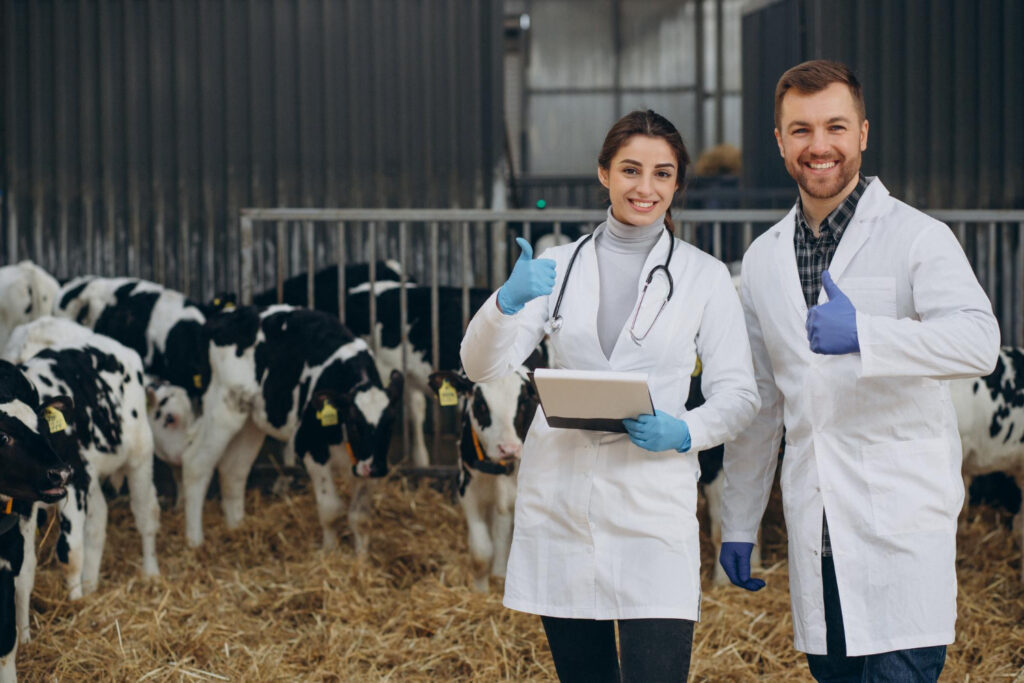 Os benefícios de ter um especialista em contabilidade para veterinários