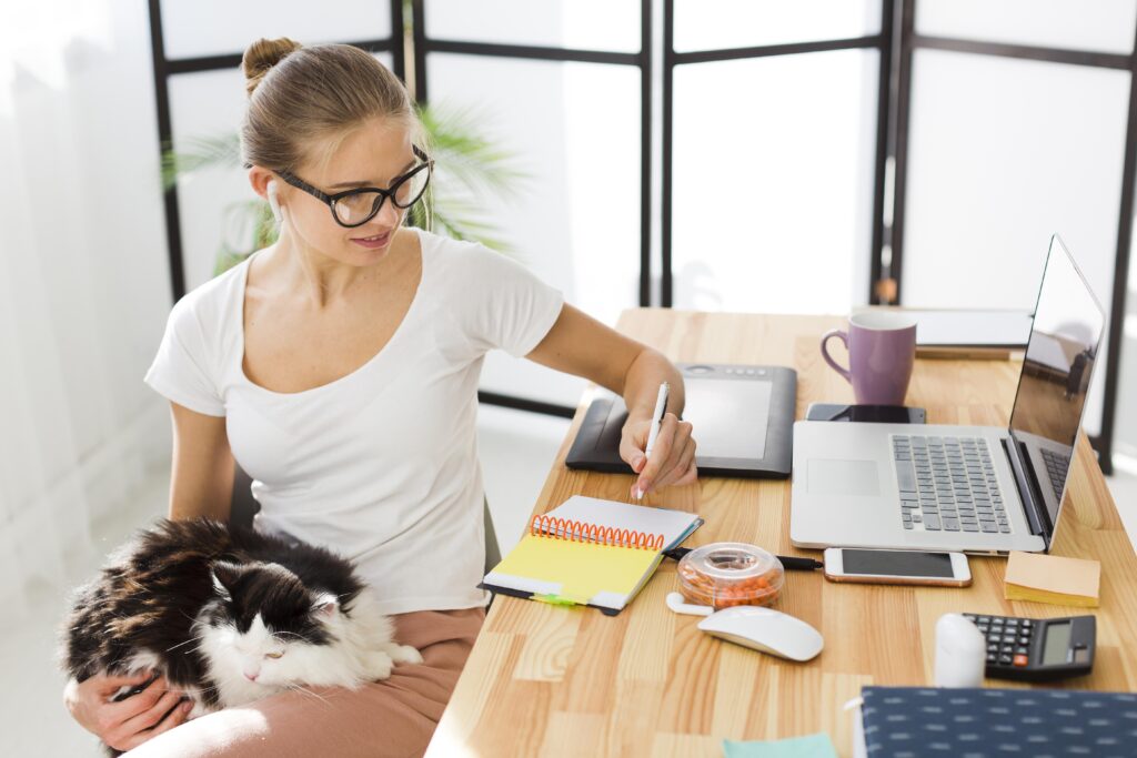 Indicadores financeiros para clínicas veterinárias: como crescer com controle e rentabilidade